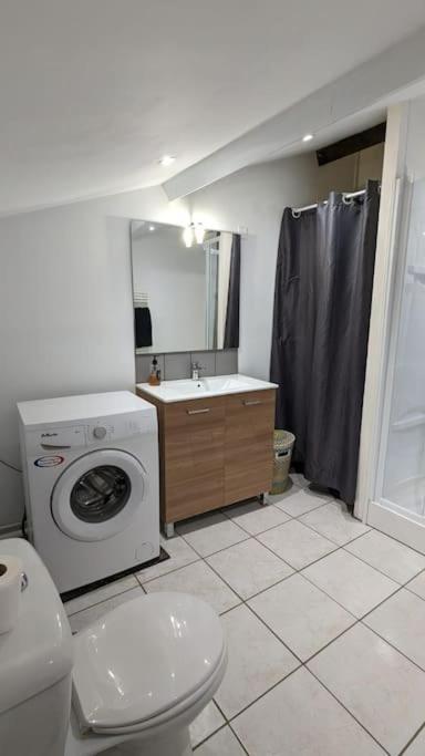 2E Grand Studio Agen Hyper Centre - Clim - Jacobins Екстериор снимка